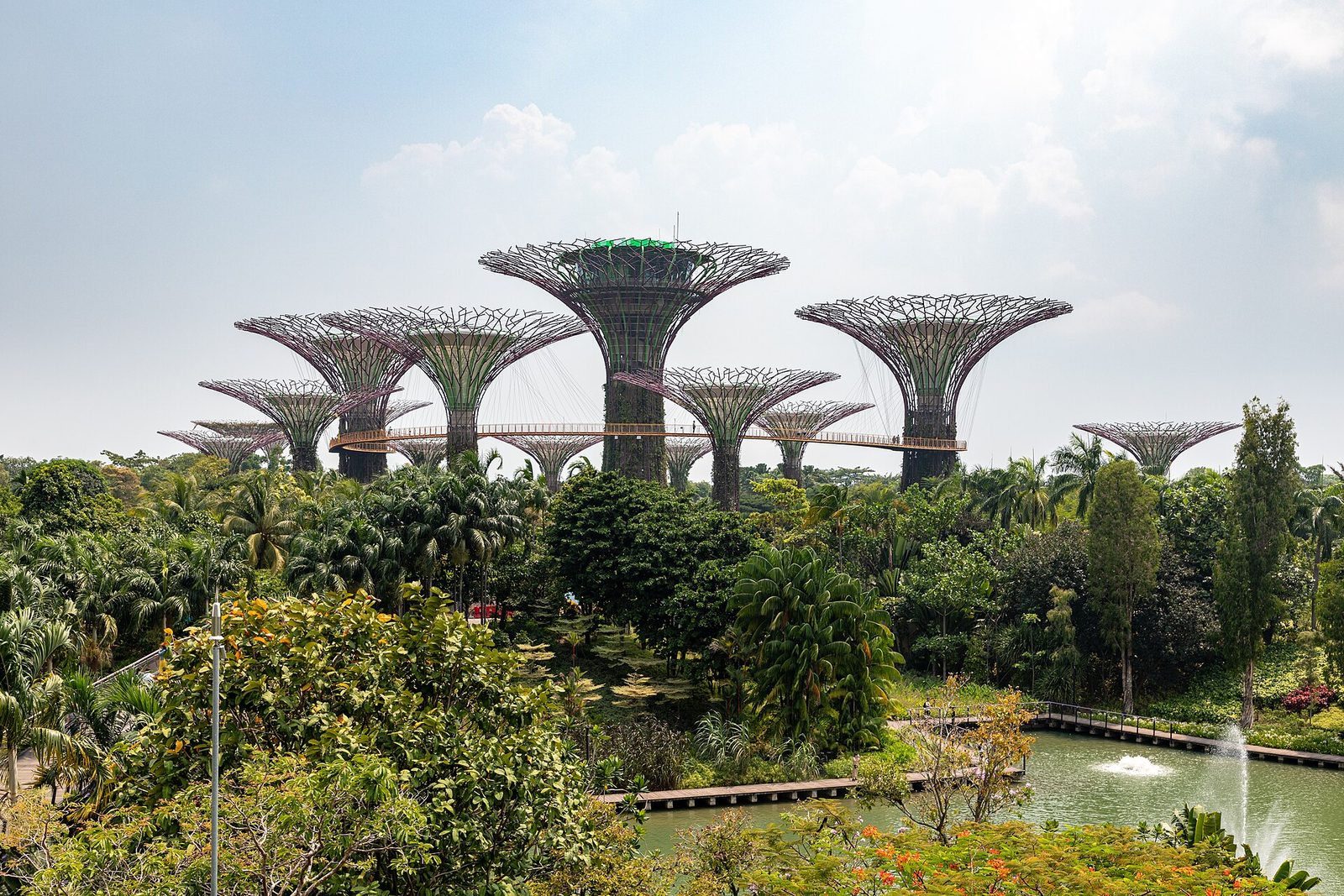Les Supertrees de Gardens by the Bay, arbres métalliques géants couverts de plantes, au-dessus d'une végétation tropicale et d'un plan d'eau