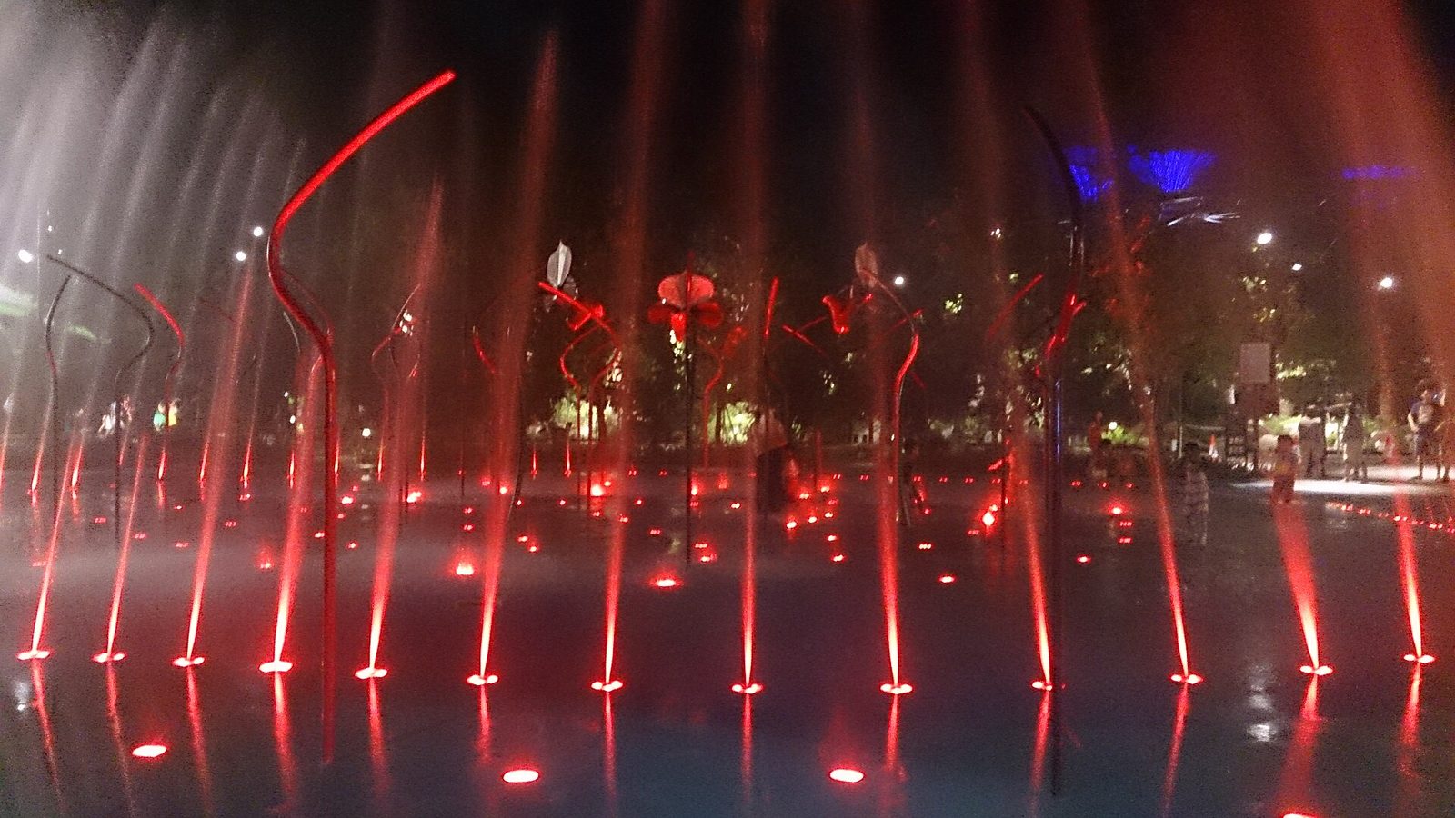 Le jeu d'eau du Children's Garden de Gardens by the Bay le soir : jets d'eau éclairés en rouge sur un sol mouillé, fleurs métalliques et Supertrees illuminés au fond