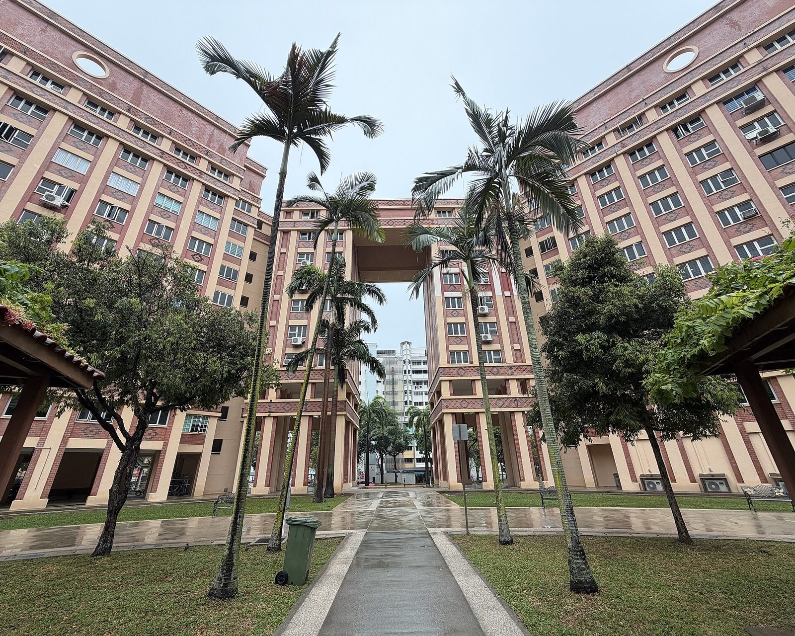 Blocs HDB de couleur brique reliés par une arche, avec des palmiers et une allée au premier plan, à Tampines