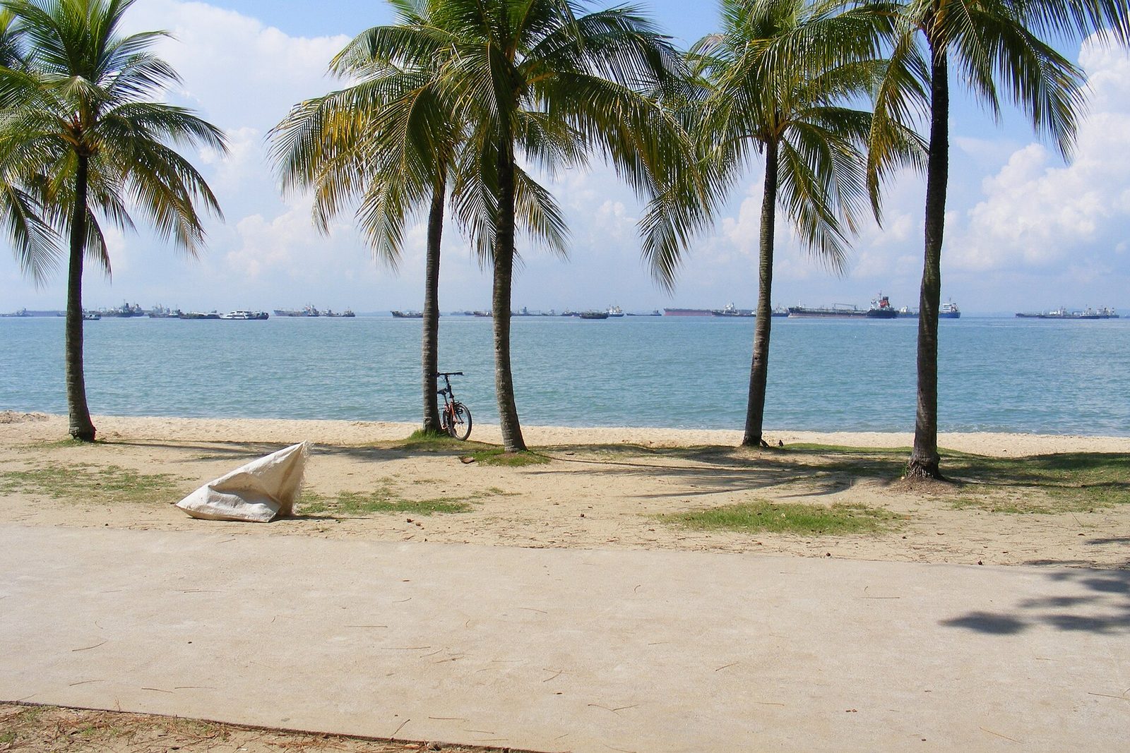 Cocotiers alignés sur la plage de East Coast Park, avec la mer et une rangée de cargos au mouillage à l'horizon