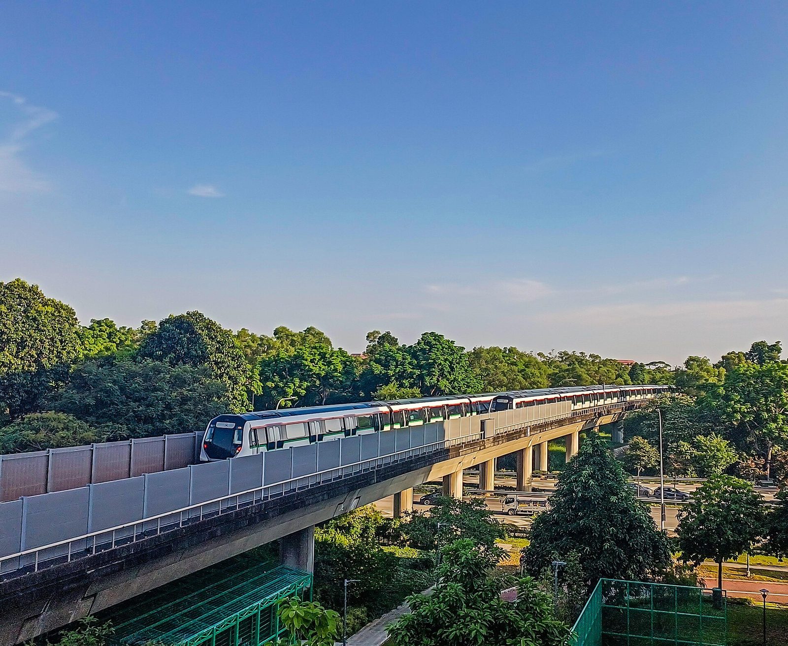 Un train du MRT de Singapour circule sur un viaduc au-dessus d'une végétation tropicale dense, sous un ciel bleu