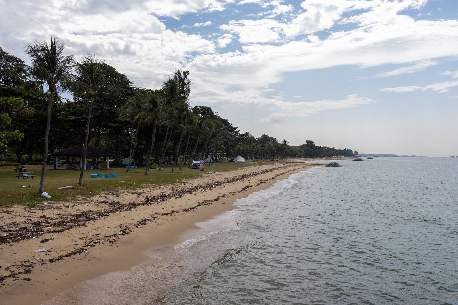 La plage d'East Coast Park bordée de palmiers et de pelouses, le long de la mer sous un ciel nuageux