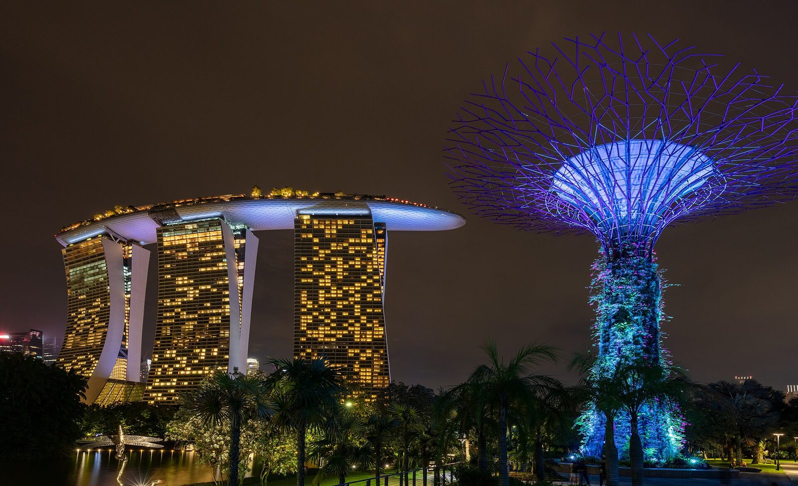 Un Supertree illuminé en bleu et violet au premier plan, avec les trois tours de l'hôtel Marina Bay Sands éclairées à l'arrière-plan