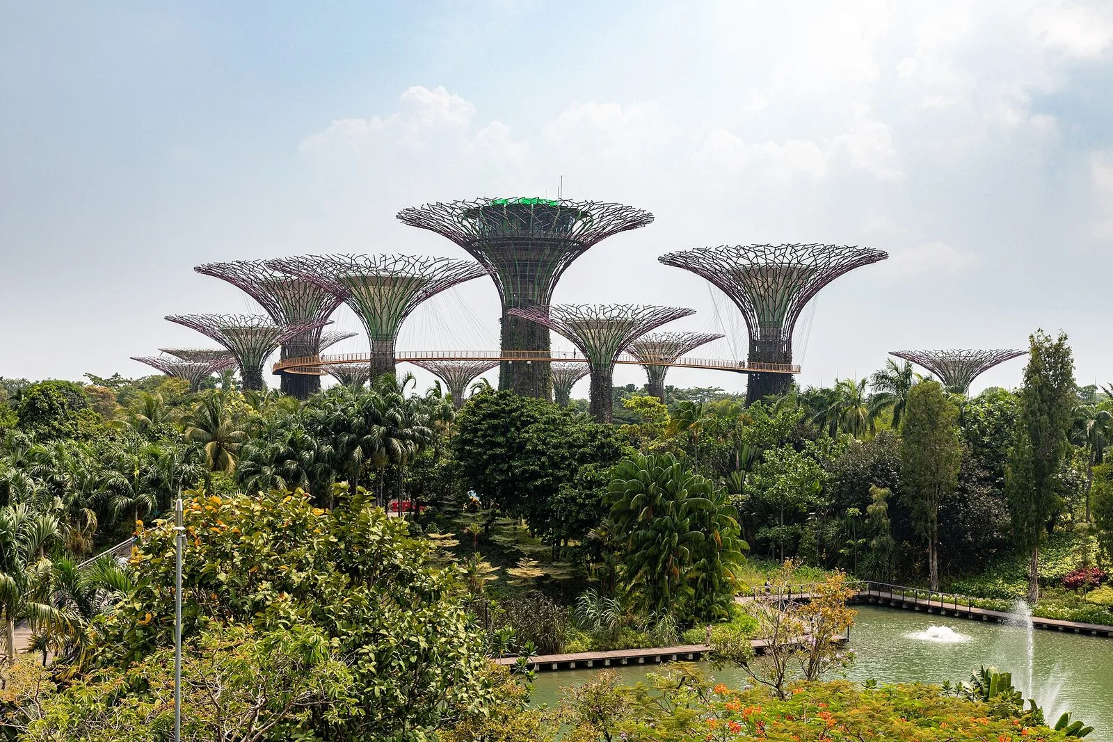 Les arbres géants métalliques du Supertree Grove, reliés par une passerelle aérienne, au-dessus de la végétation tropicale de Gardens by the Bay