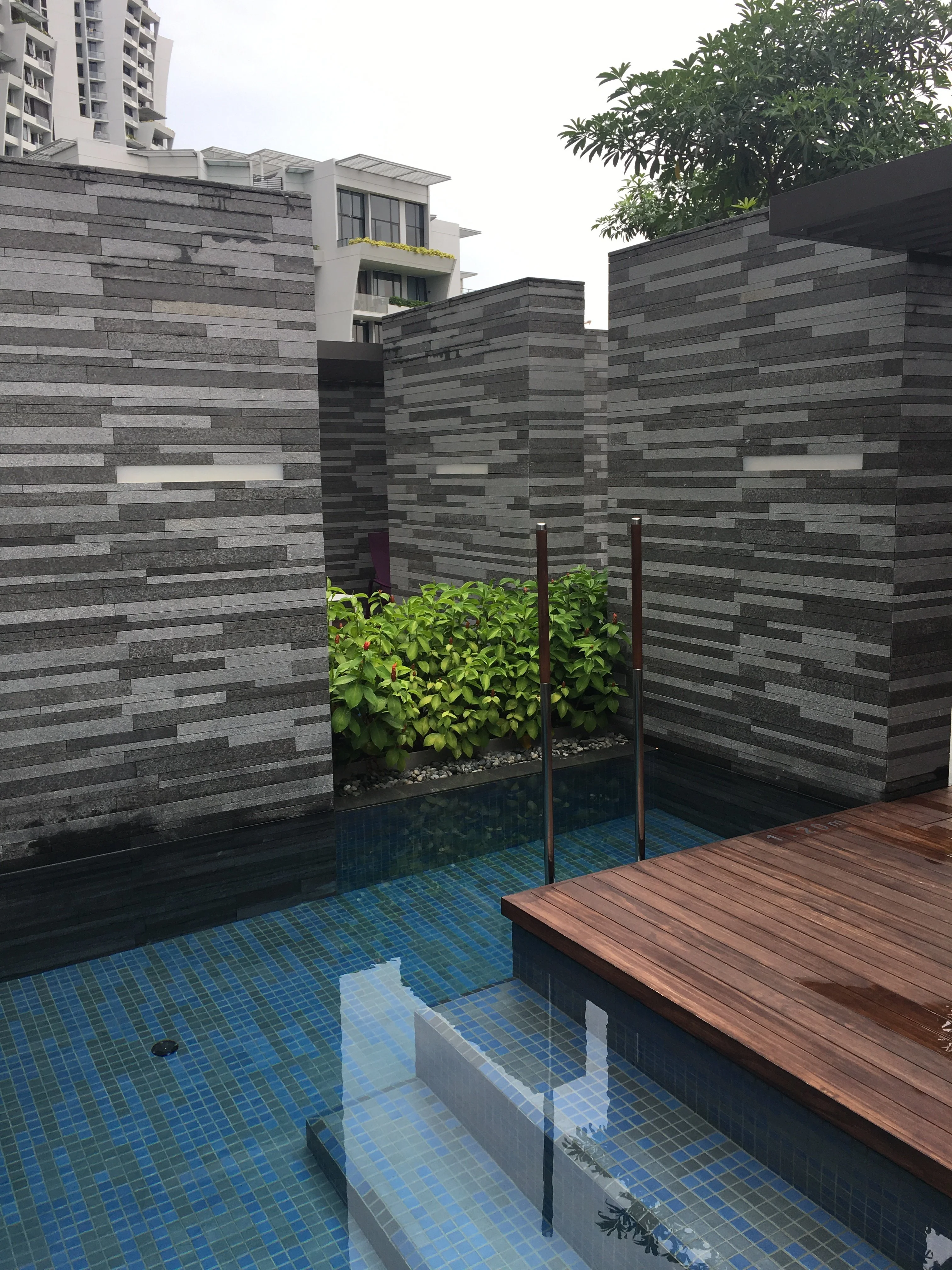3D305ED2-DAA8-4581-9764-CA41C5F9CE5C.webp