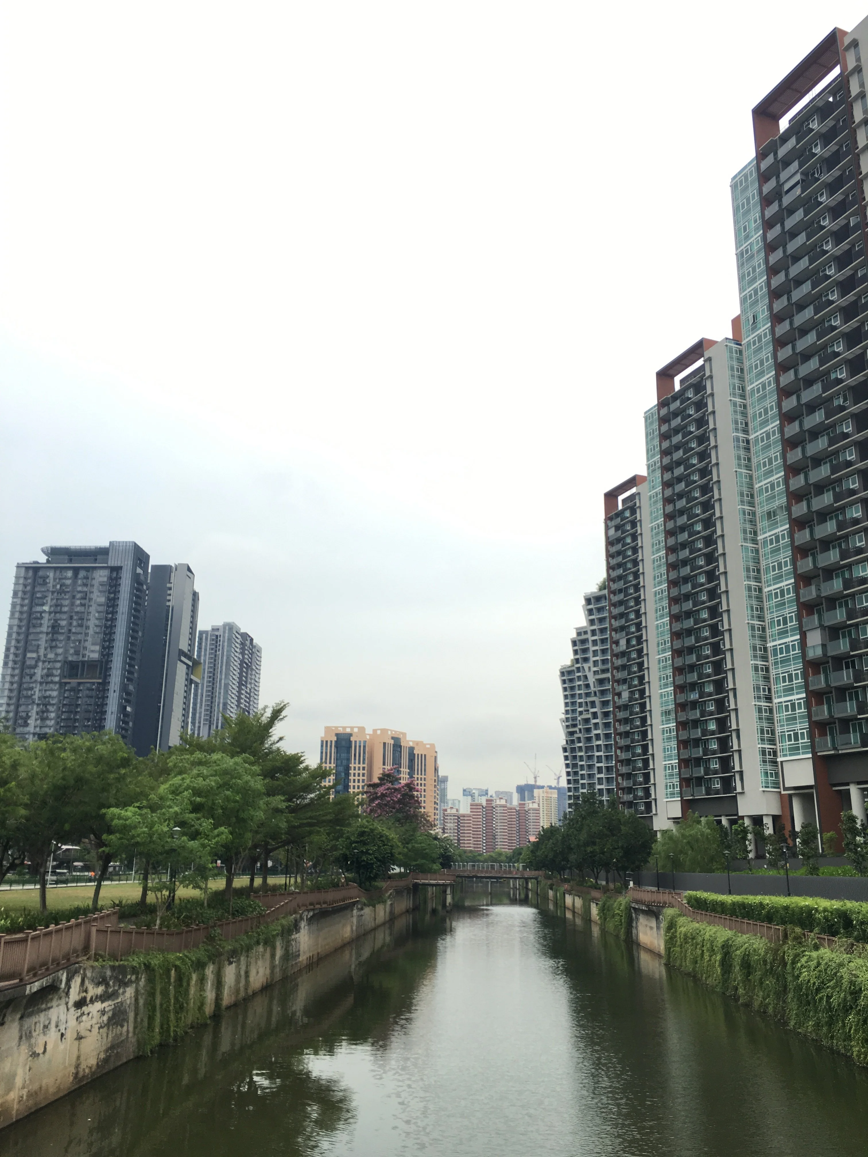 A634253A-C575-4296-8072-F55432C543DB.webp