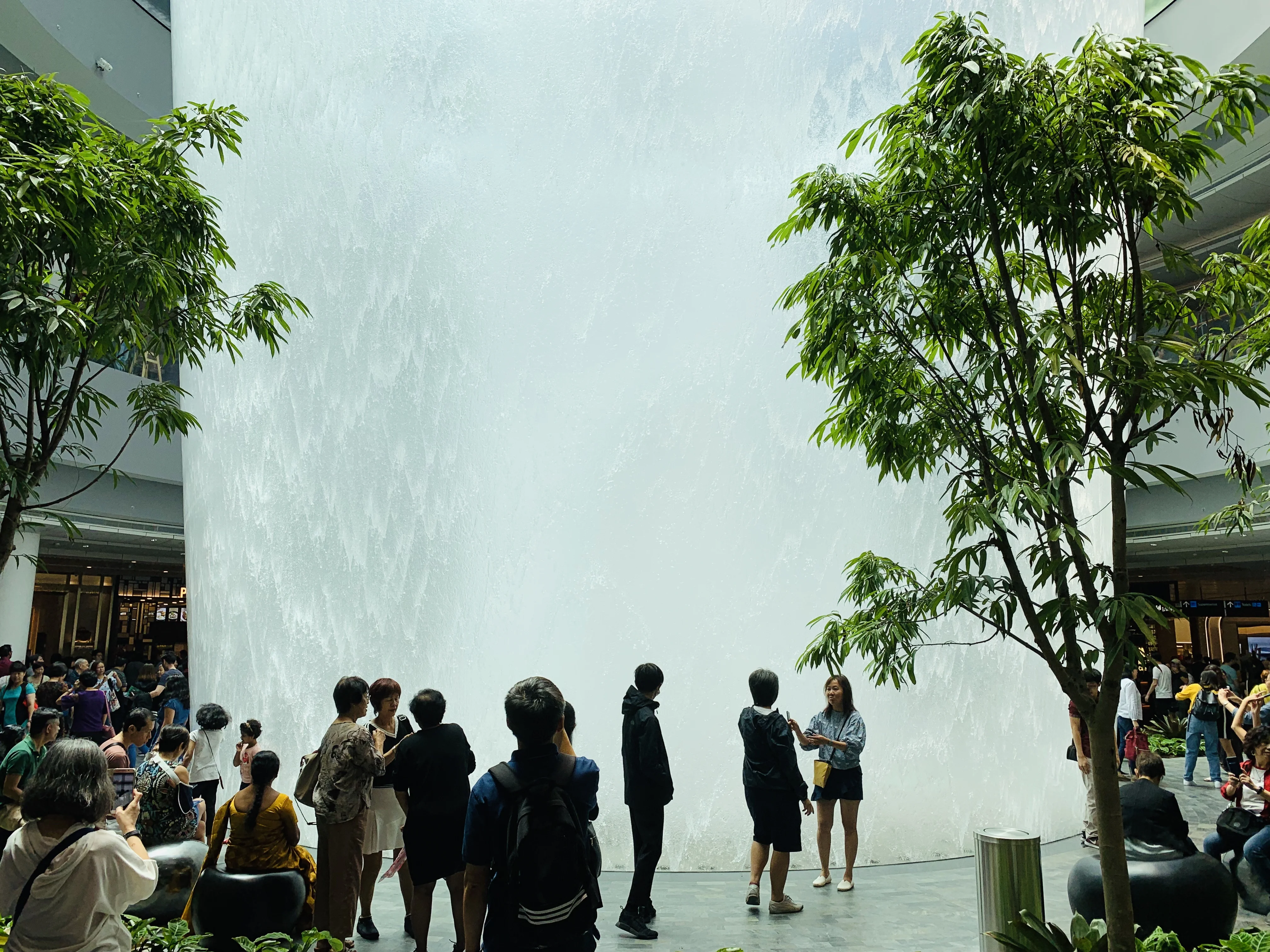 IMG_E8942.webp