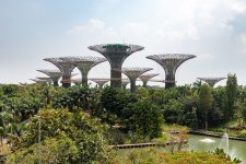 2026-10-20-maj-10-raisons-visiter-singapour-supertrees.jpg
