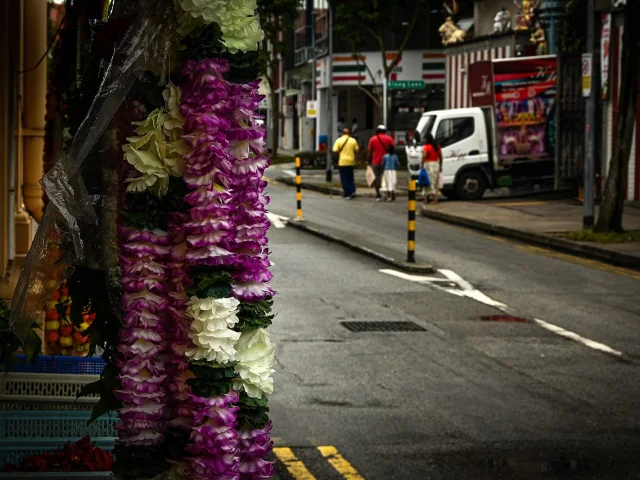 Guirlandes au bord de la rue