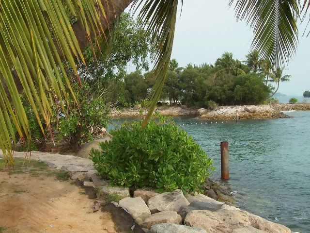 Le rivage de Siloso Beach