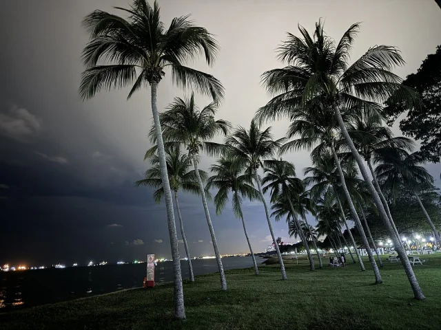 East Coast Park la nuit
