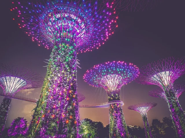 Supertree Grove illuminé