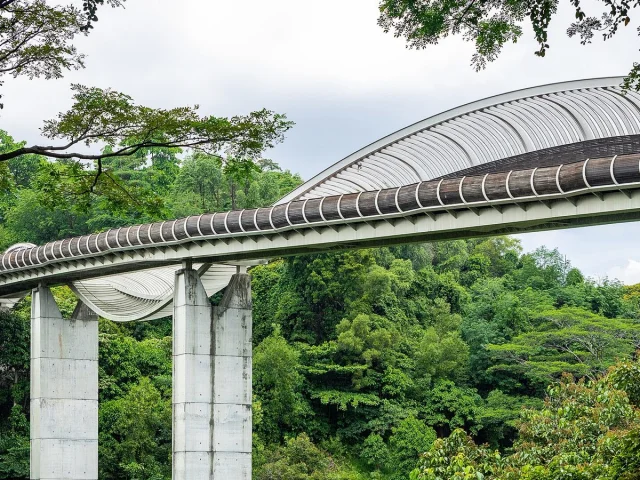 Henderson Waves