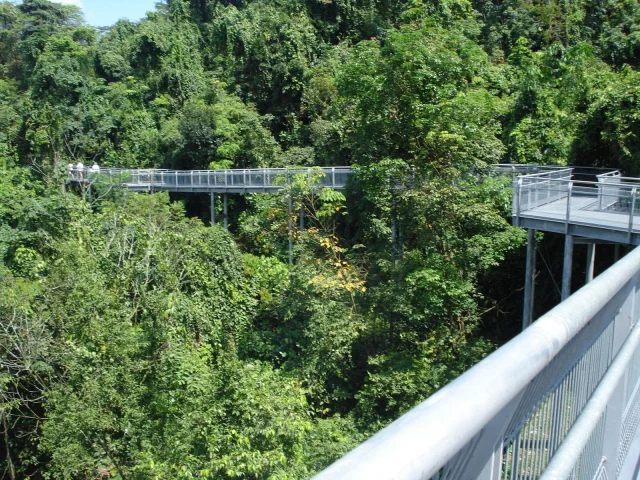 Forest Walk des Southern Ridges