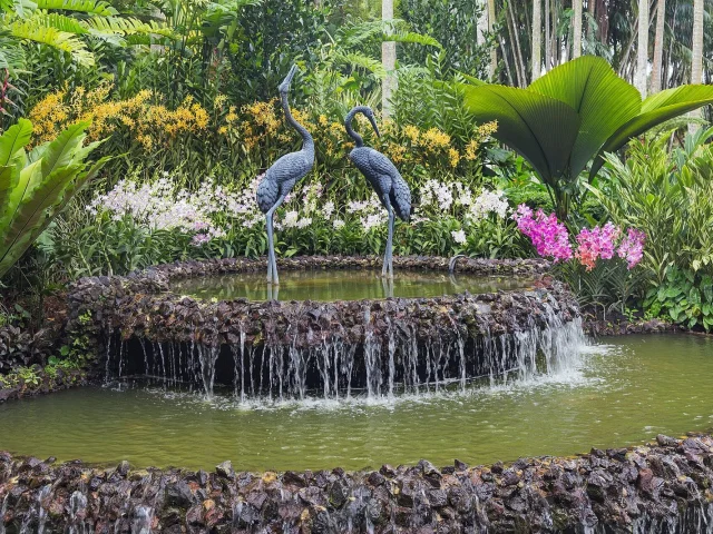 Fontaine aux grues du National Orchid Garden