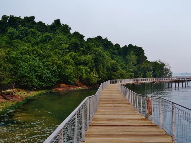 Promenade de Chek Jawa