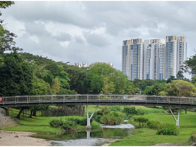 Passerelle du Bishan-Ang Mo Kio Park