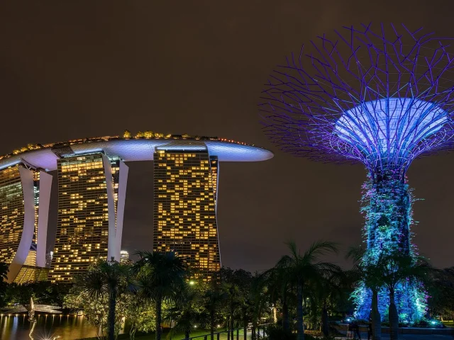 Un Supertree face à Marina Bay Sands