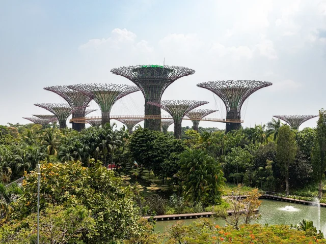 Le Supertree Grove