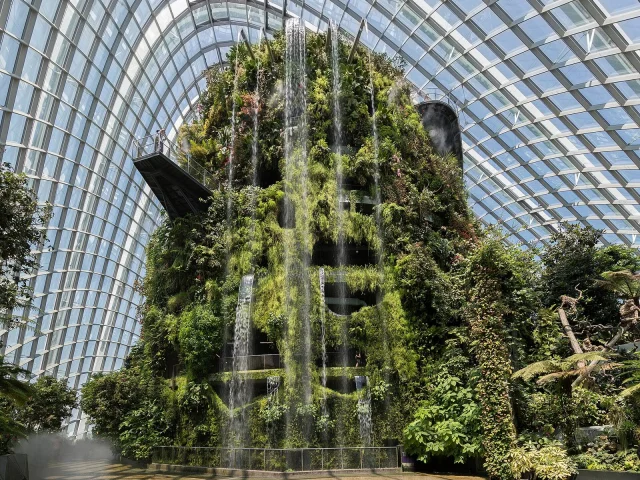 La cascade du Cloud Forest