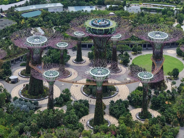 Le Supertree Grove vu d'en haut