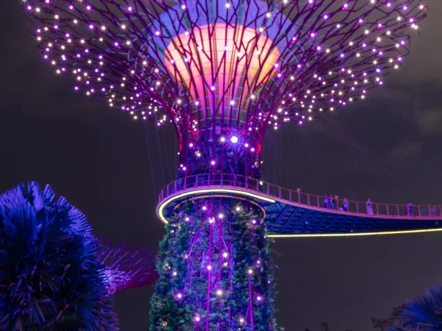Supertree et passerelle de nuit