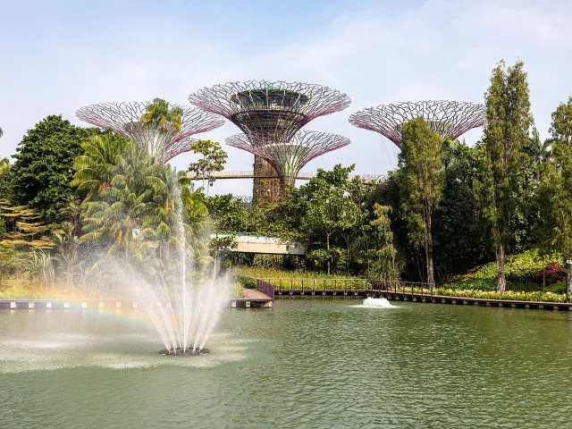 Fontaine et Supertrees