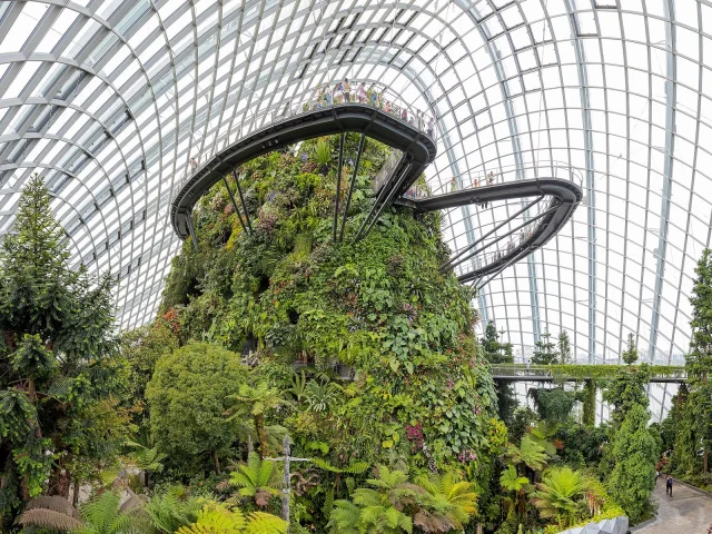 La montagne du Cloud Forest