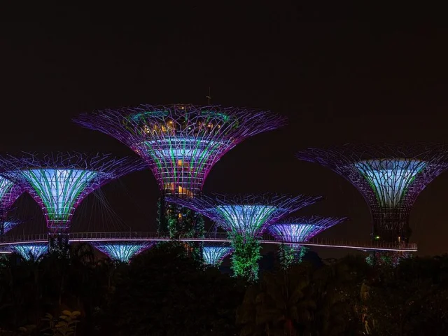 Le Supertree Grove illuminé