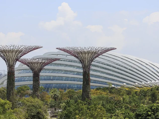 Supertrees et Flower Dome