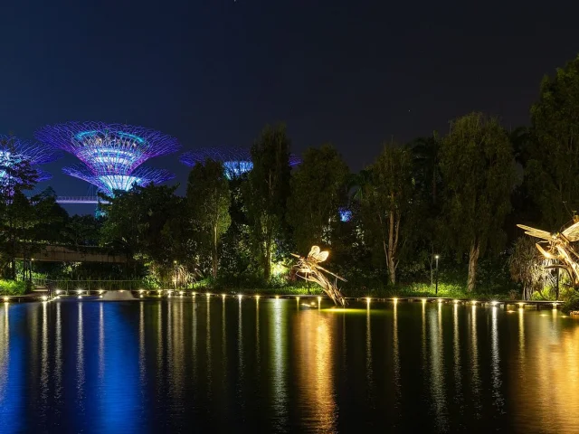 Le Dragonfly Lake de nuit