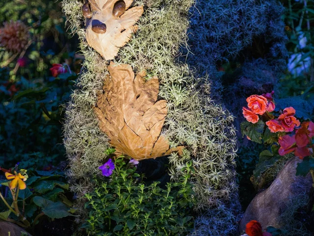 Composition florale au Flower Dome