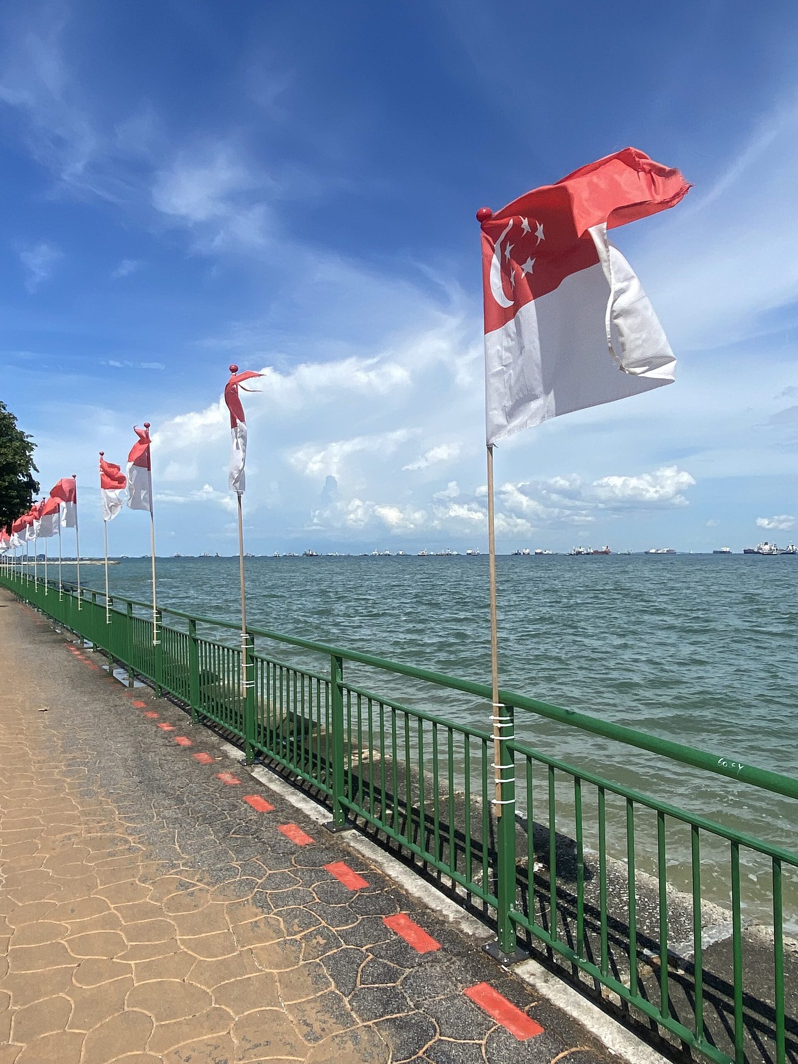 Drapeaux sur East Coast Park