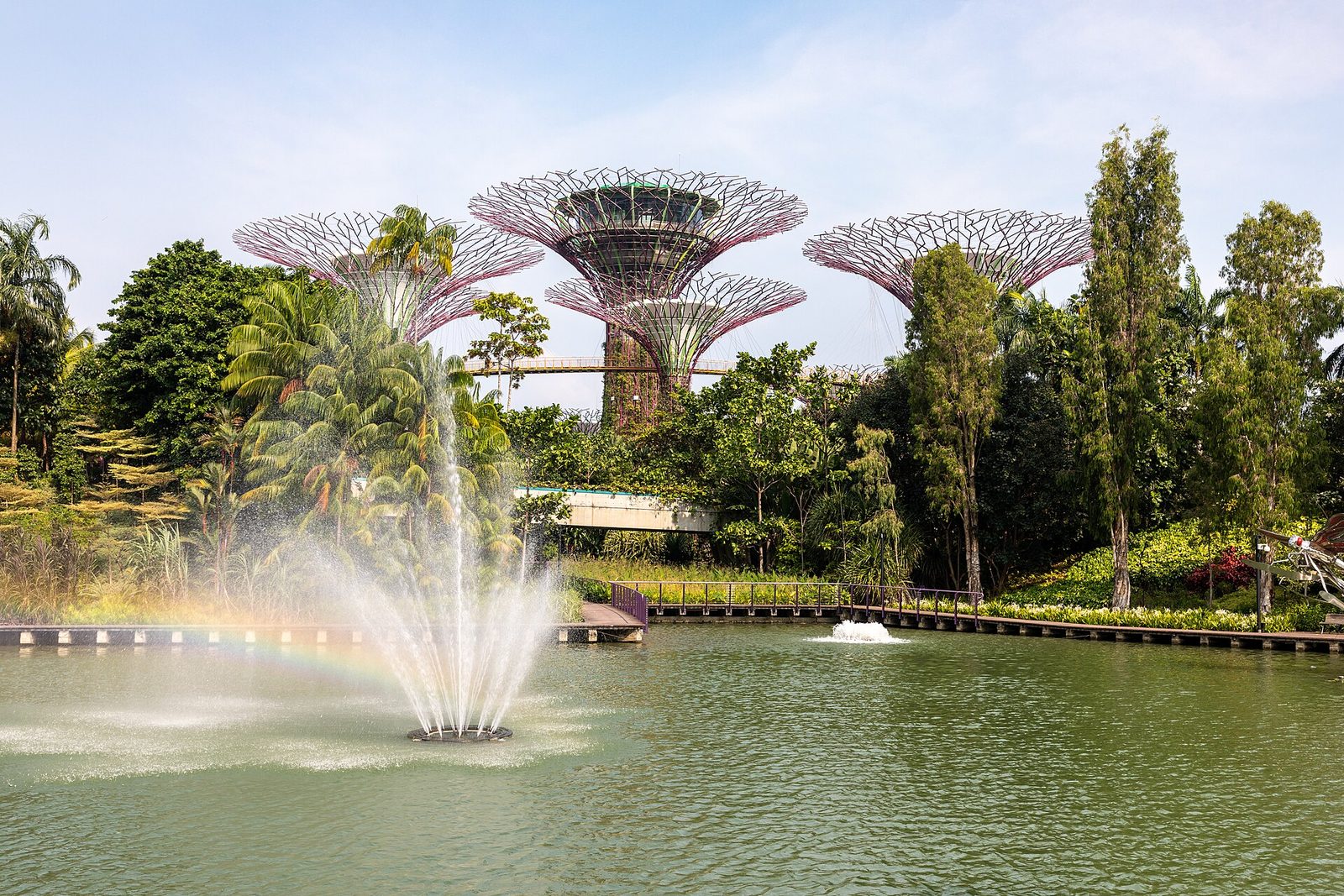 Fontaine et Supertrees