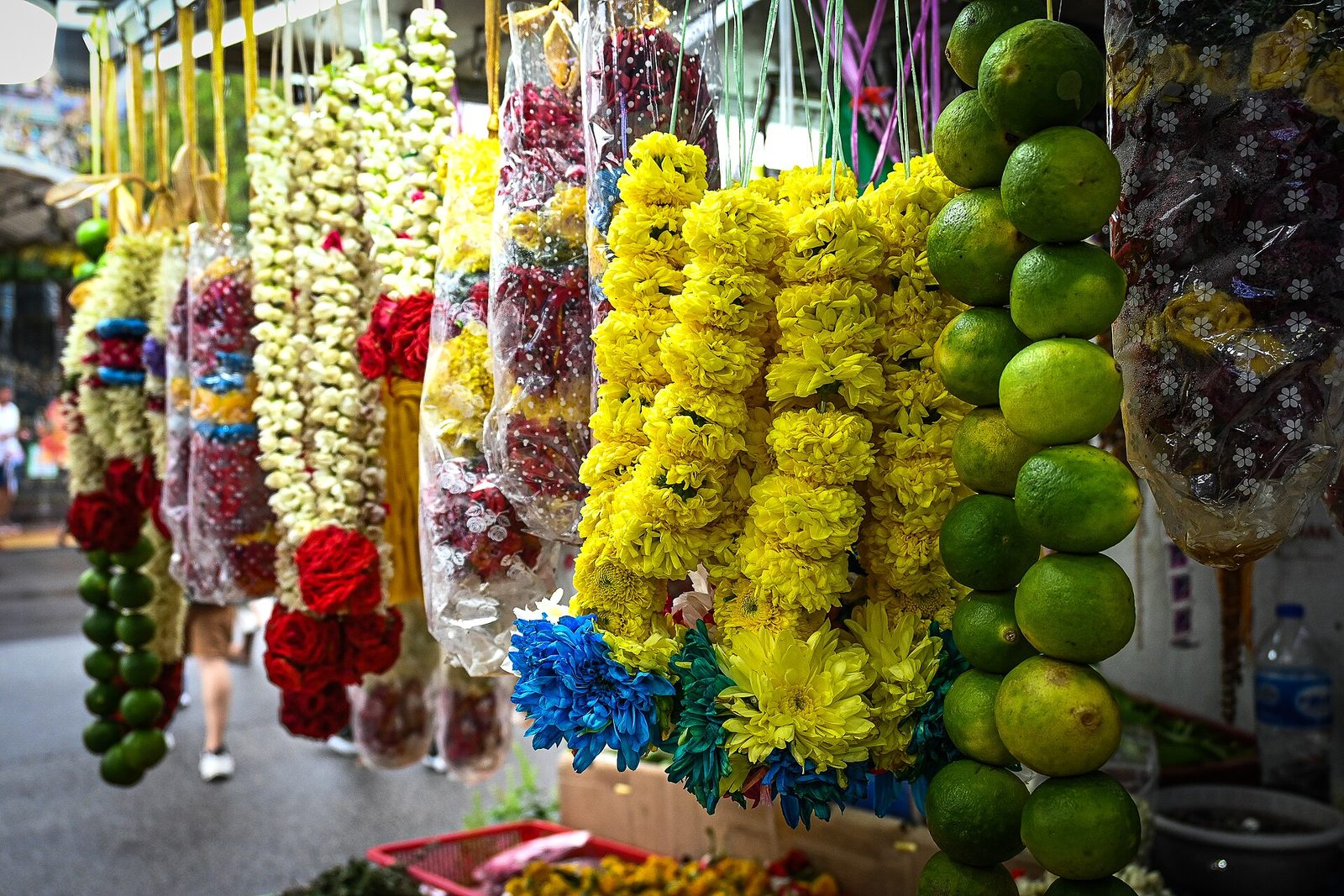 Guirlandes de fleurs
