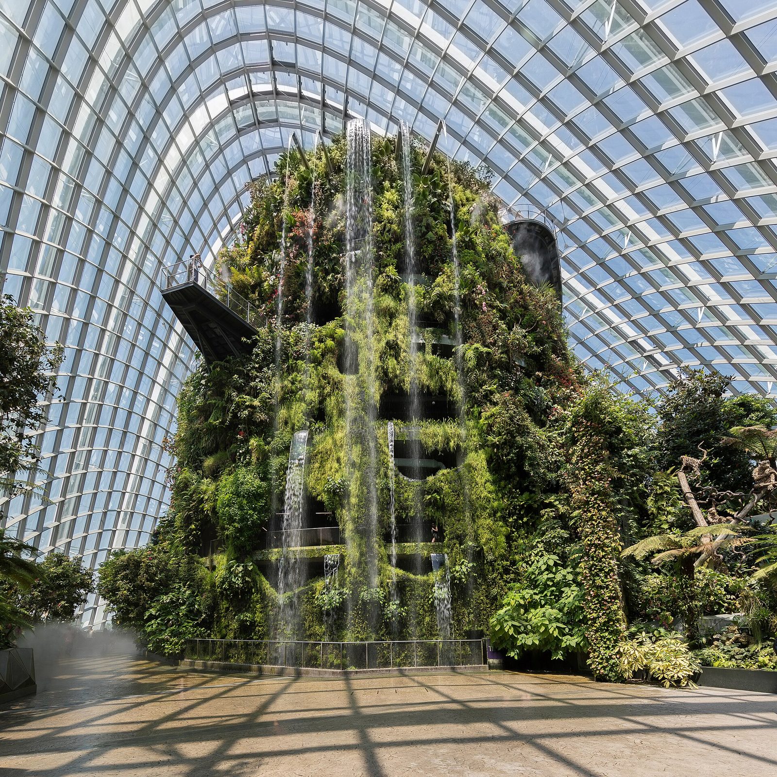 La cascade du Cloud Forest