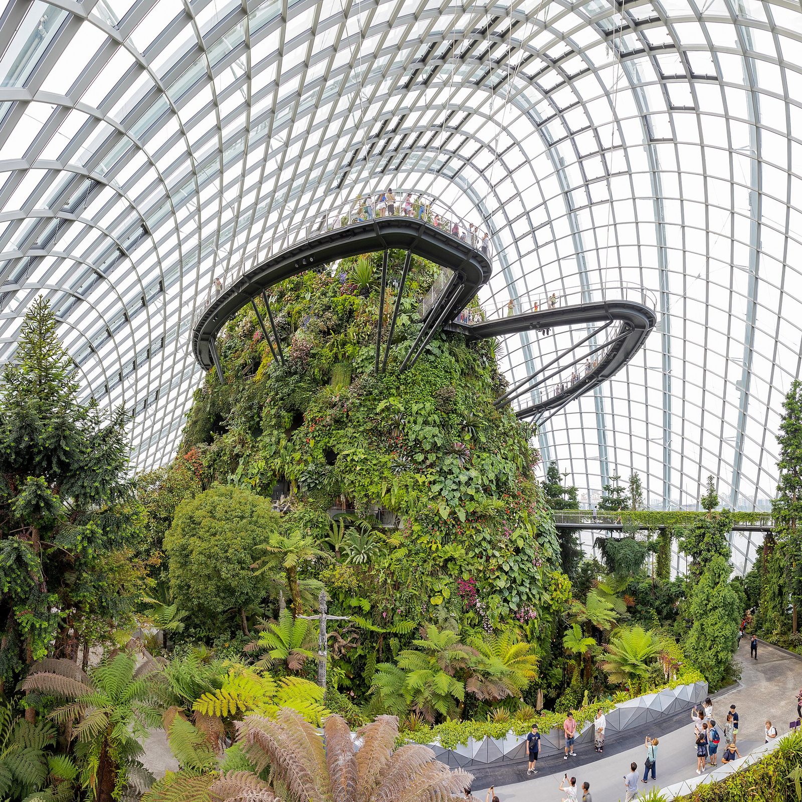 La montagne du Cloud Forest