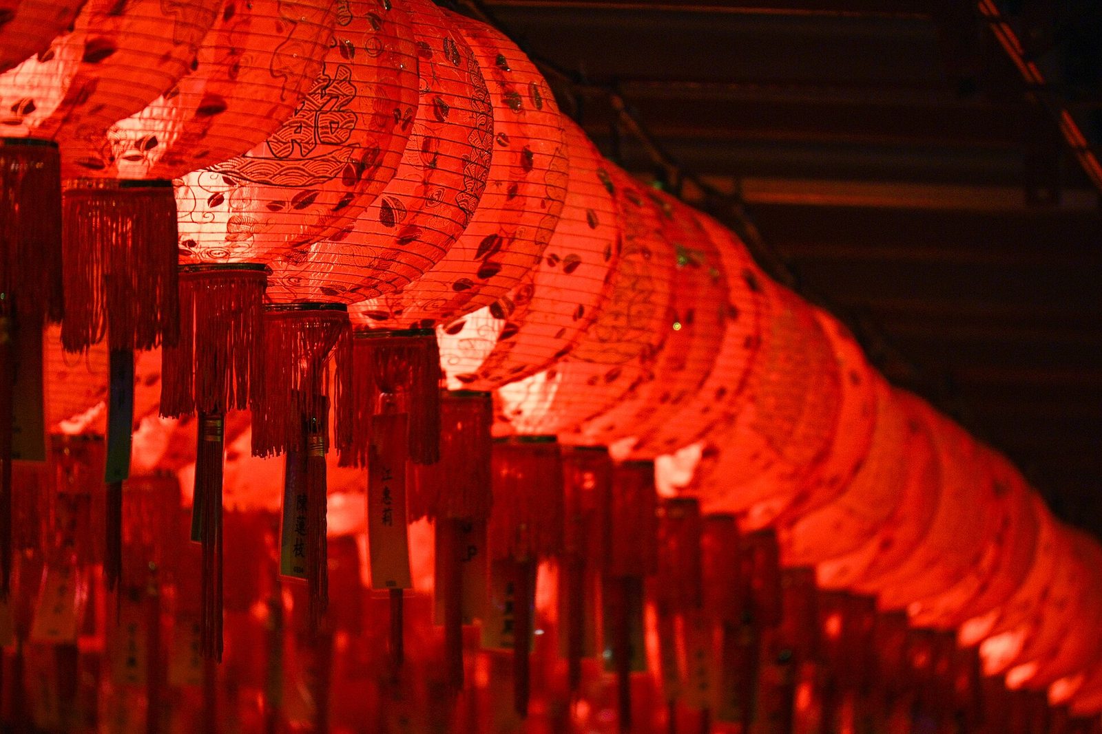Lanternes rouges