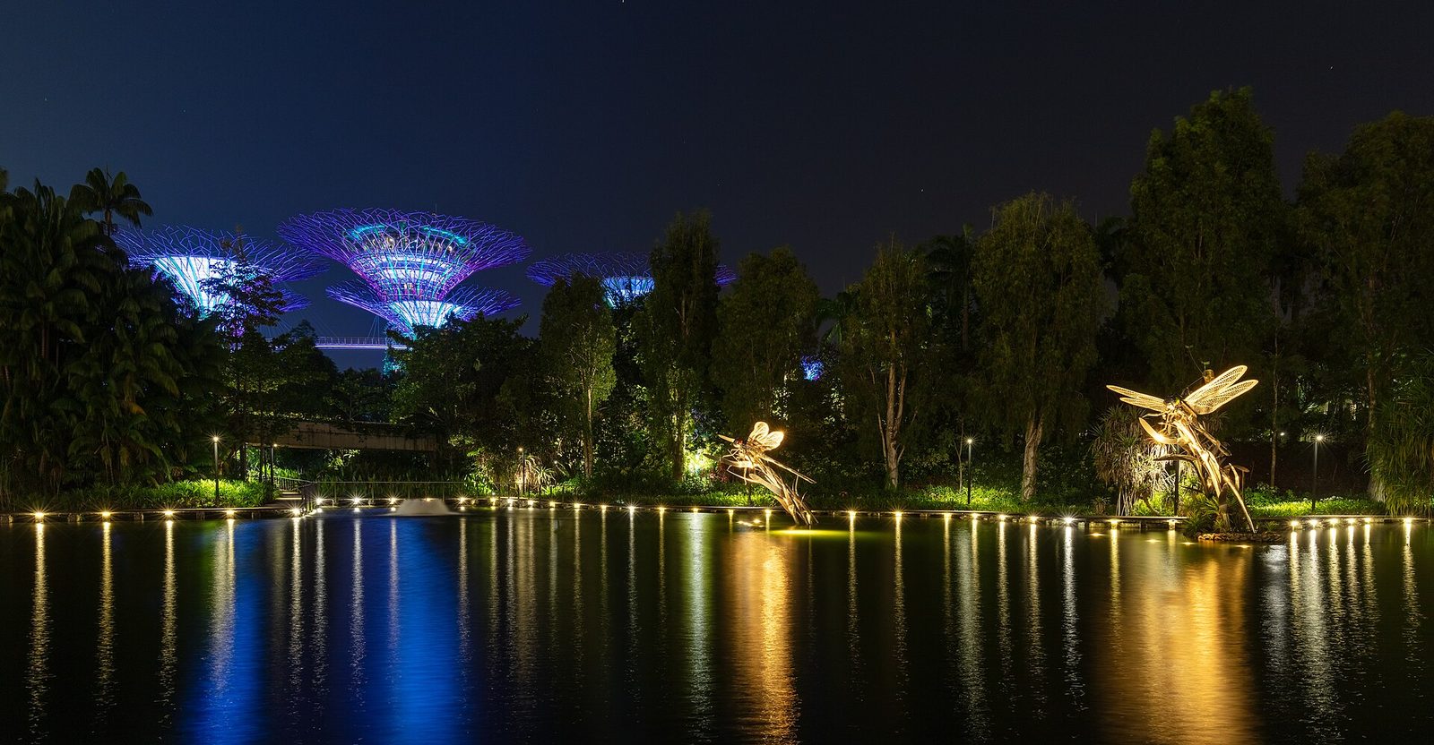 Le Dragonfly Lake de nuit