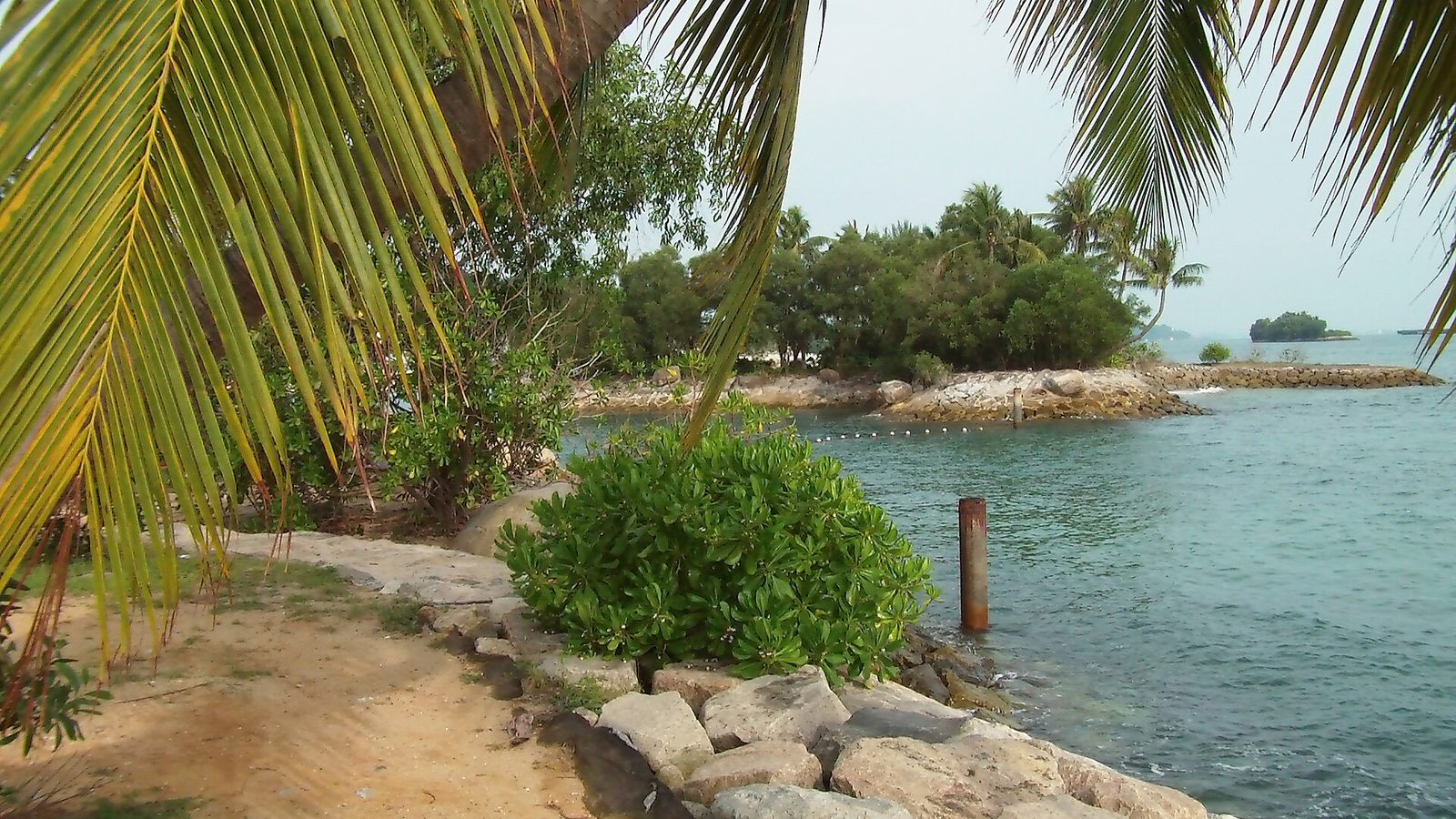 Le rivage de Siloso Beach