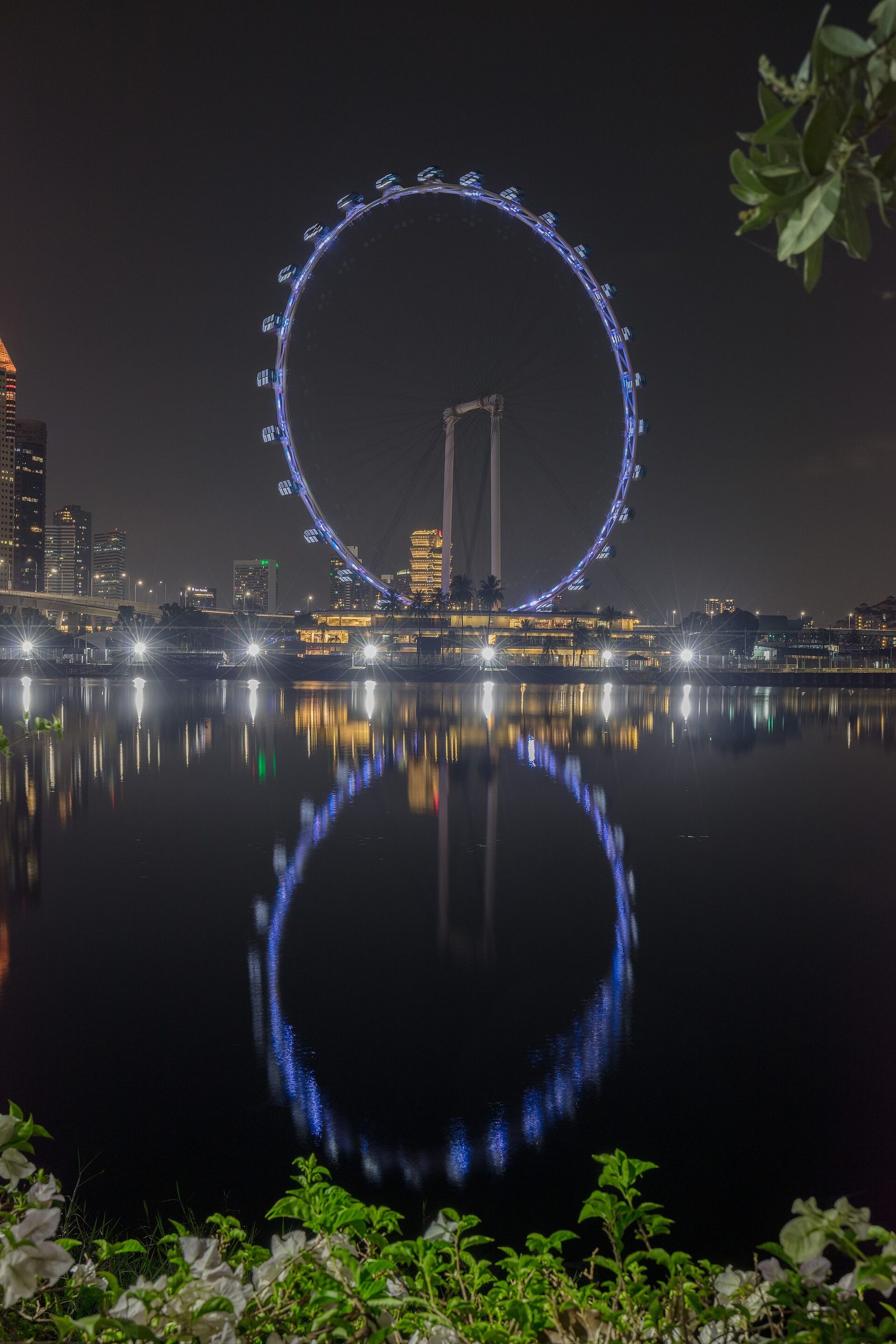 Le Singapore Flyer et son reflet