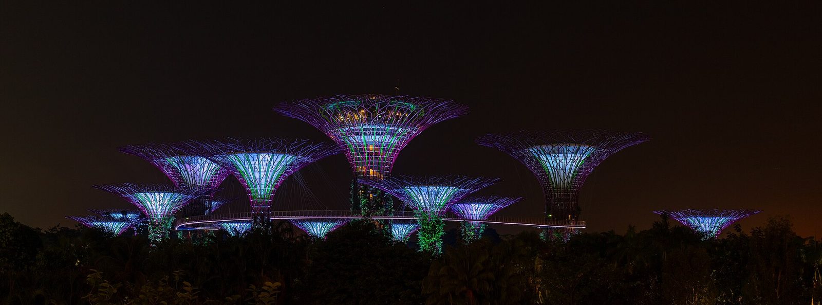 Le Supertree Grove illuminé