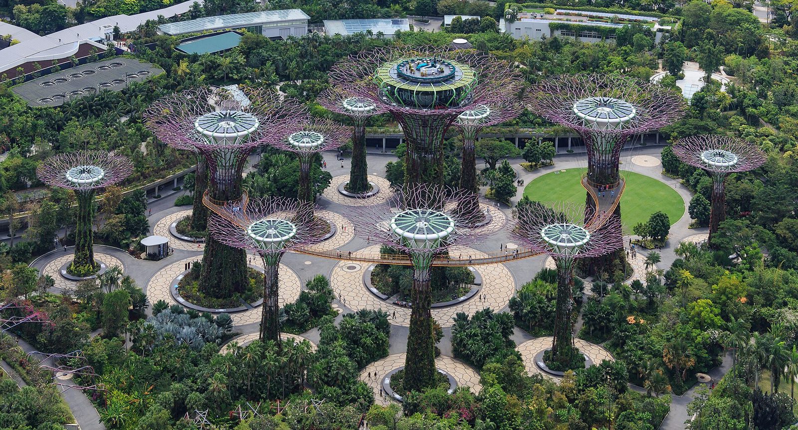 Le Supertree Grove vu d'en haut
