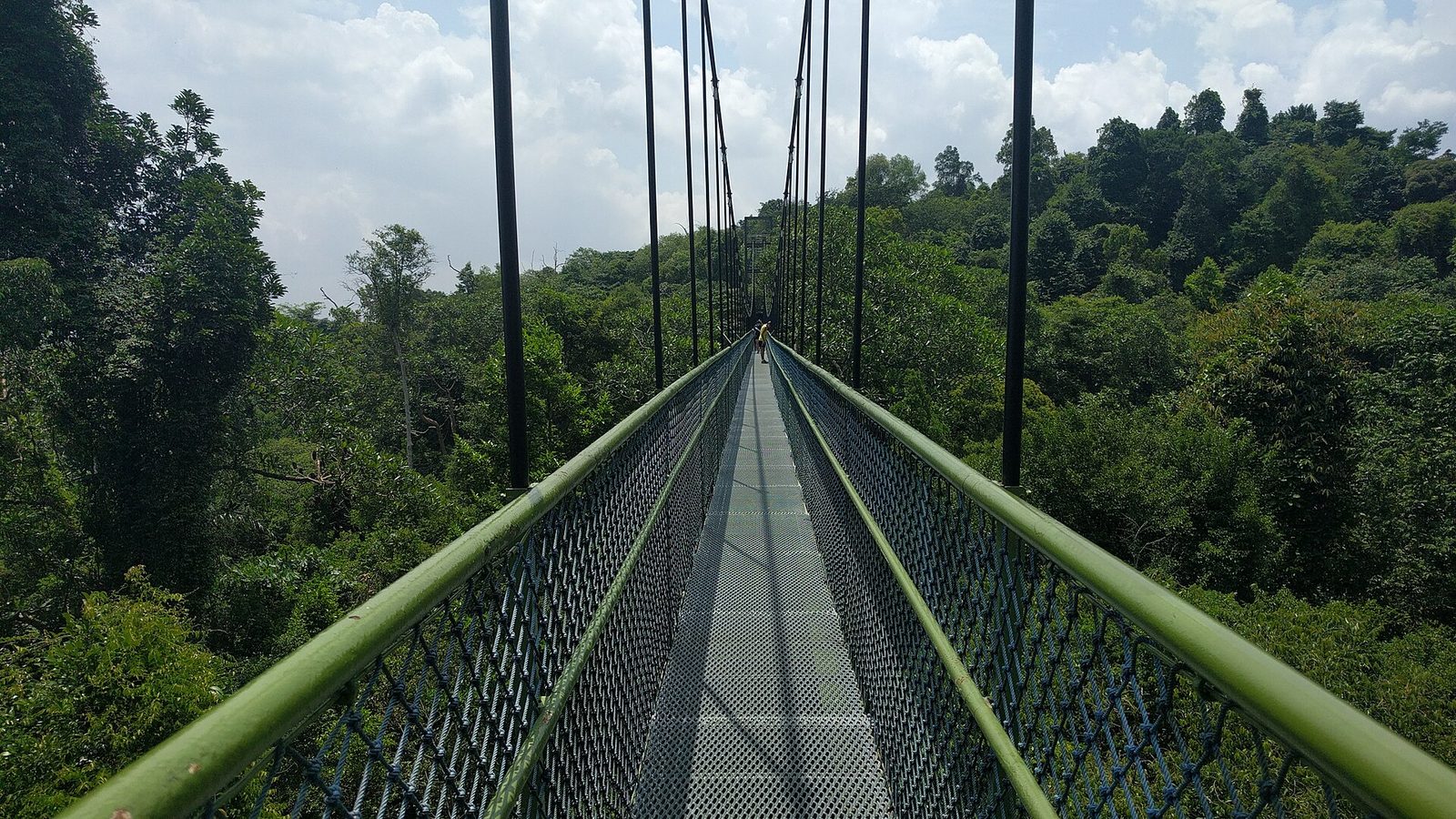 Le TreeTop Walk de MacRitchie