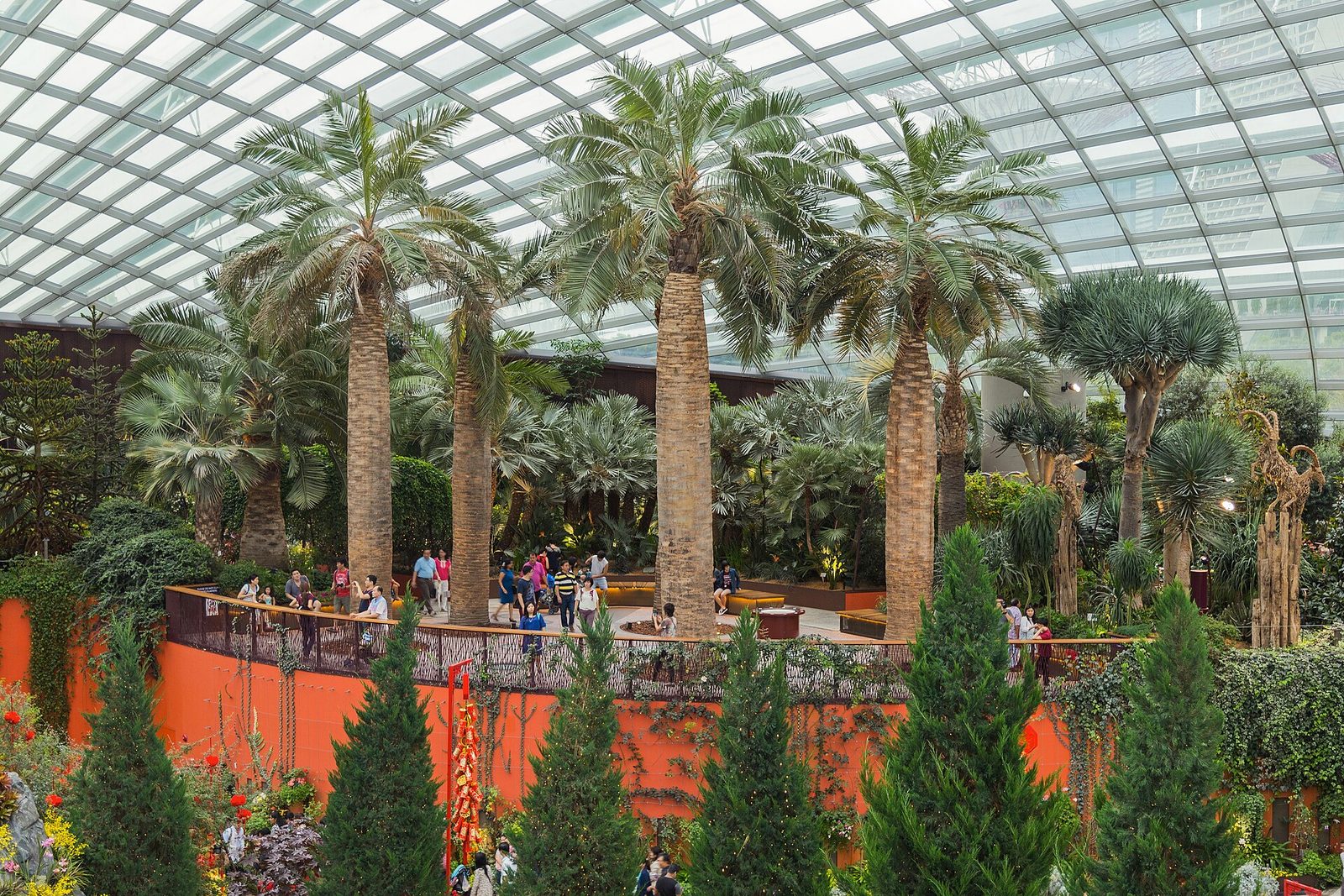 Les palmiers du Flower Dome