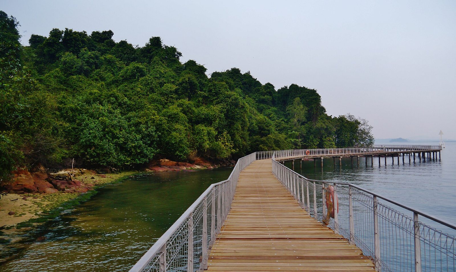 Promenade de Chek Jawa