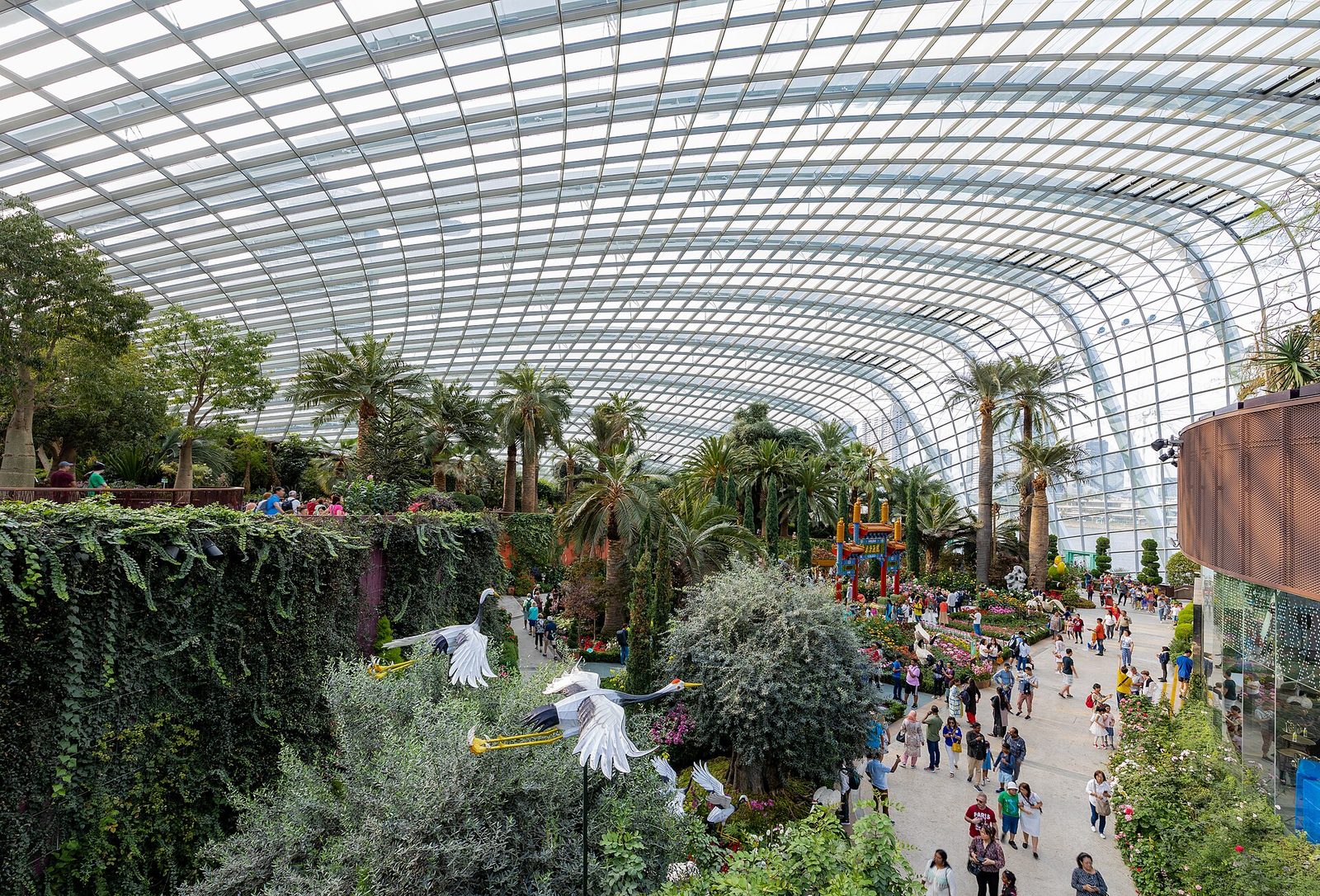 Sous la verrière du Flower Dome