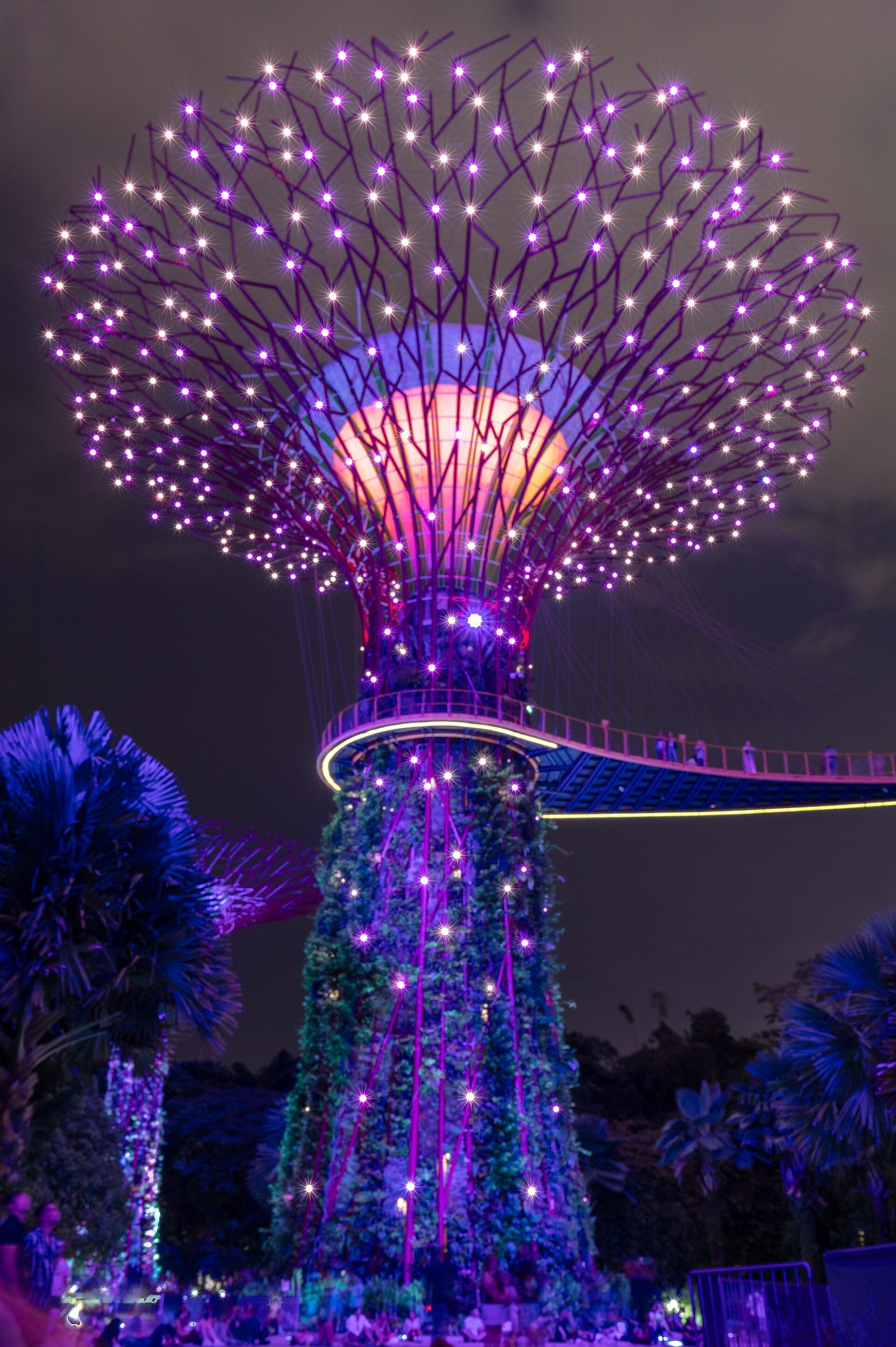 Supertree et passerelle de nuit