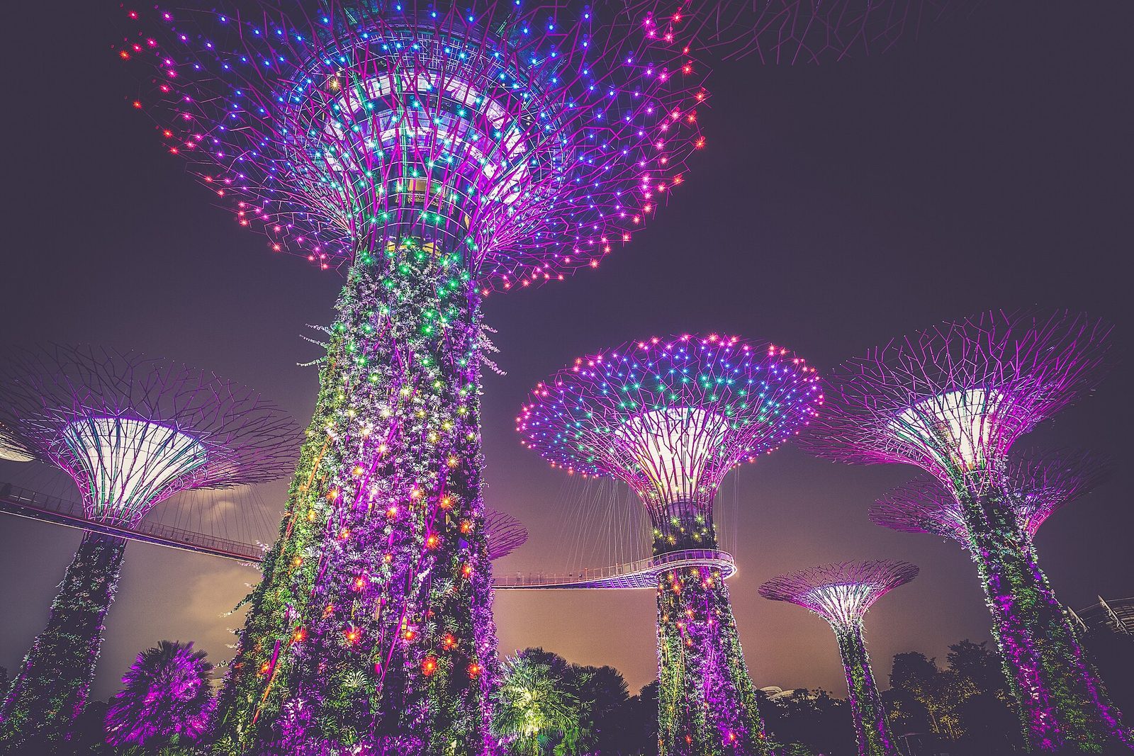 Supertree Grove illuminé