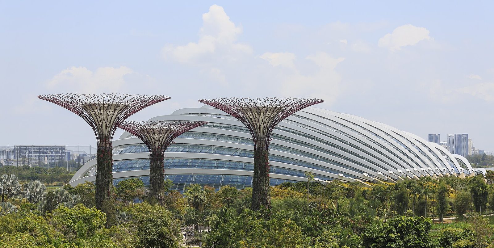 Supertrees et Flower Dome